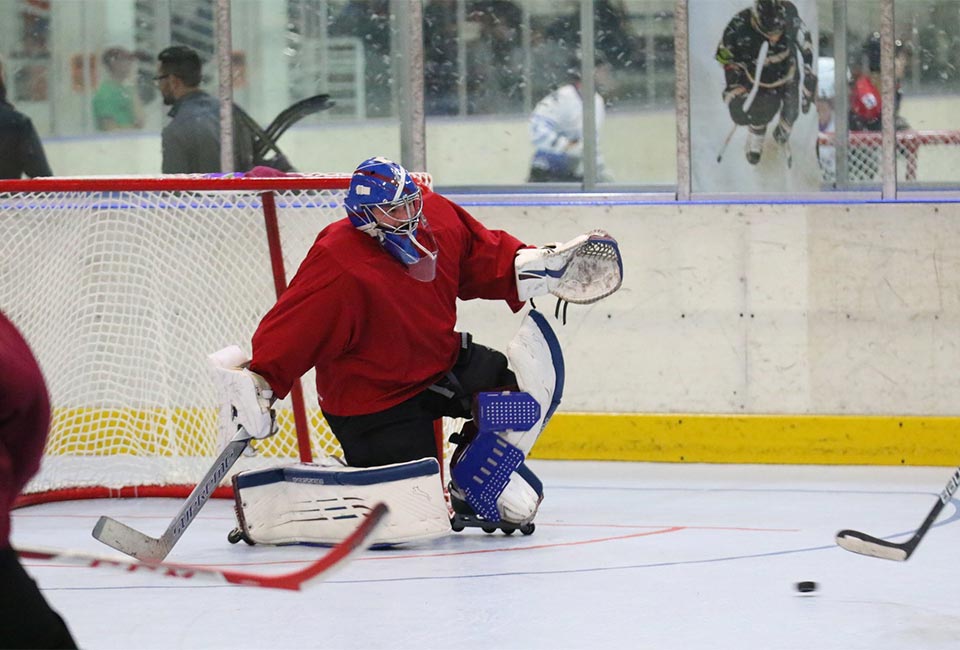 image of goalie making a save with Rollerflys
		